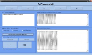 modificare nome dei file